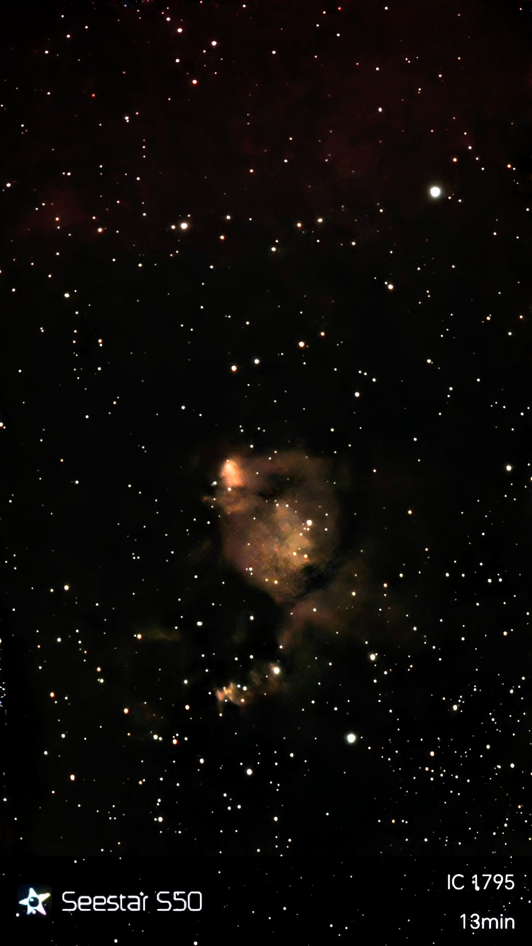 An image of the Fishhead Nebula
