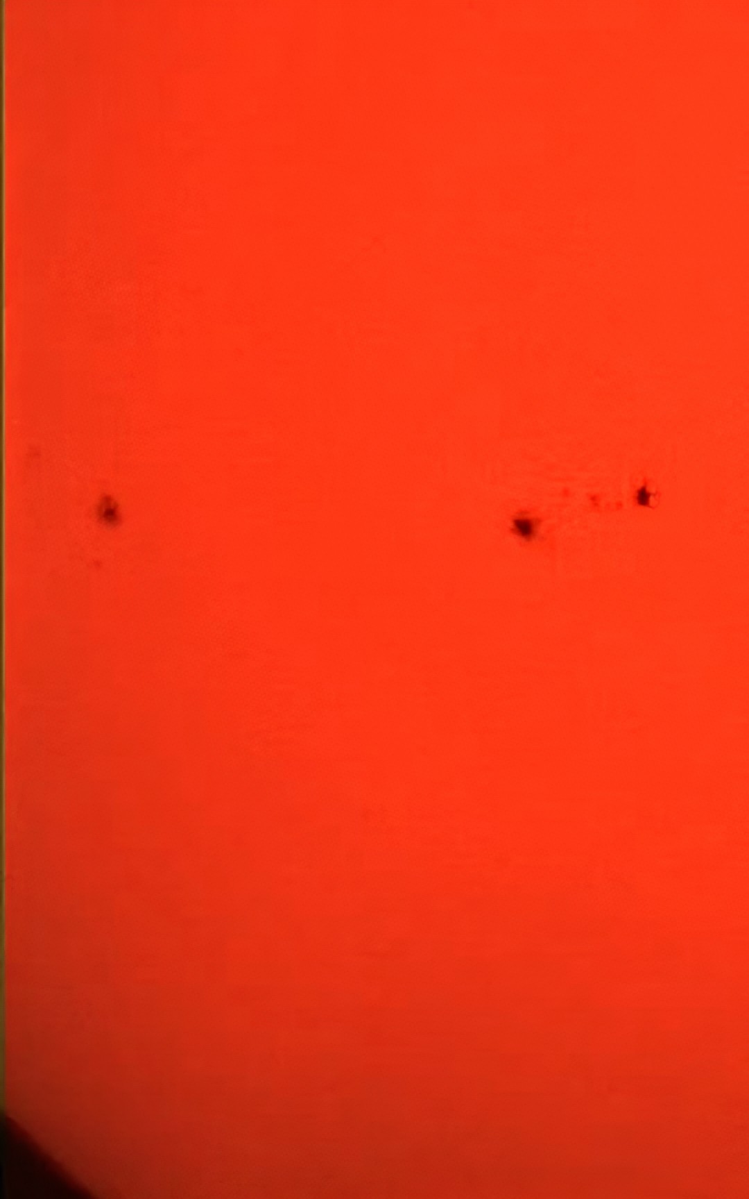 An image of sunspots on the Sun