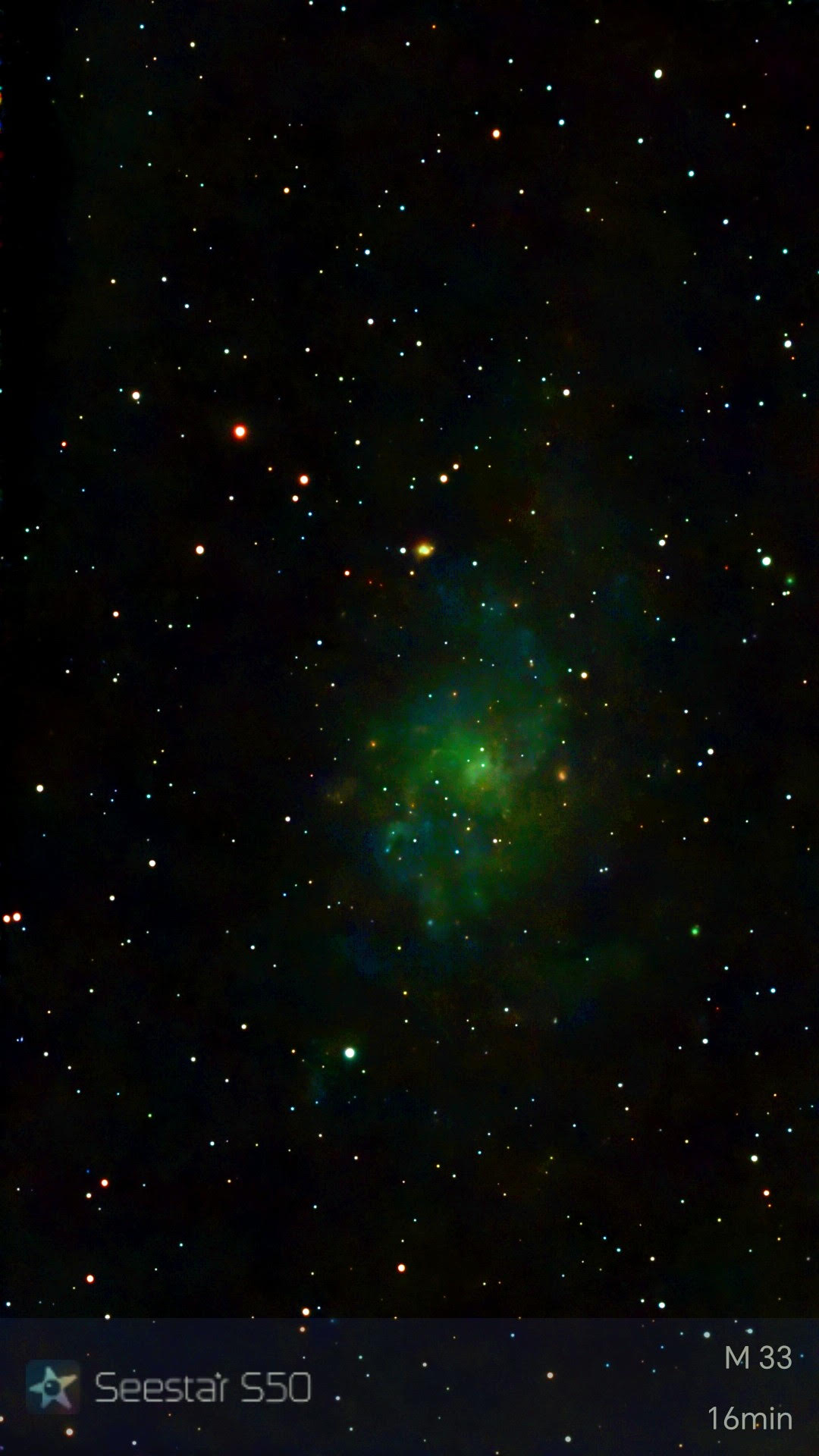 An image of the Triangulum Galaxy